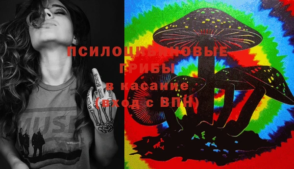 ешки Магас