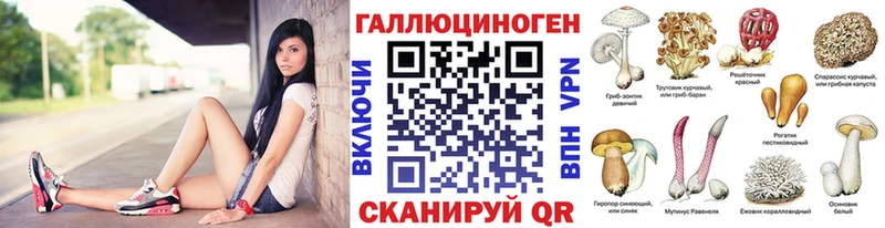 Псилоцибиновые грибы Psilocybe  Ленинск 